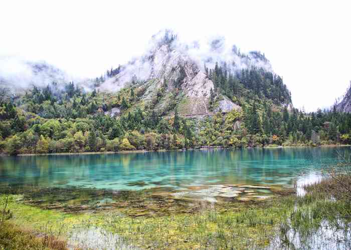 成都租大巴全攻略，别光知道打车，团队出行这样玩才省钱又自在！-第1张图片-成都租车公司